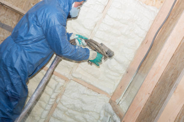 Best Insulation Air Sealing  in Lexington, SC